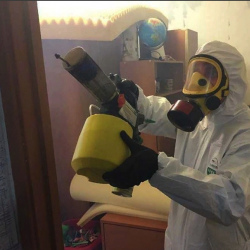 Уничтожение клопов в квартире. Косино